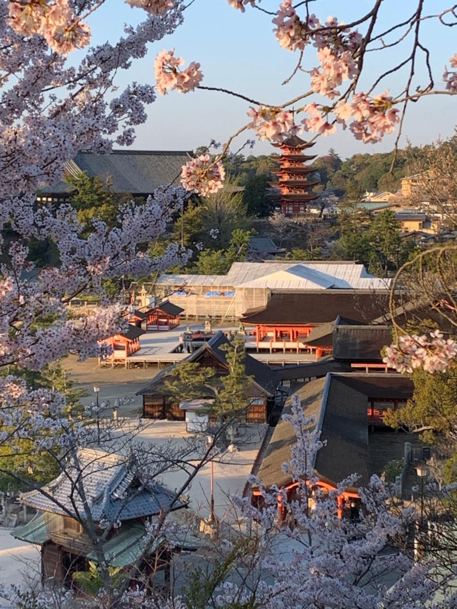 宮島 町家宿 進龍庵 Hatsukaichi Exterior photo
